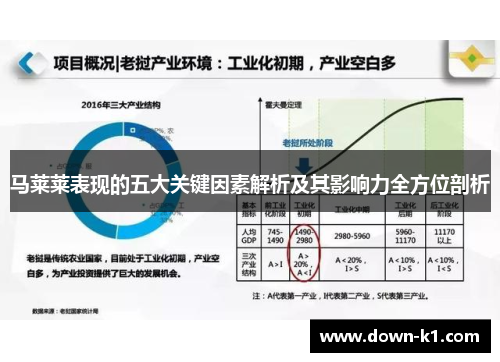 马莱莱表现的五大关键因素解析及其影响力全方位剖析