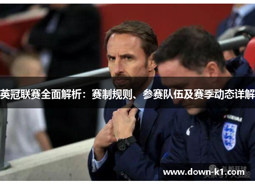英冠联赛全面解析：赛制规则、参赛队伍及赛季动态详解